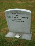 image number Levitt Lily Violet  137